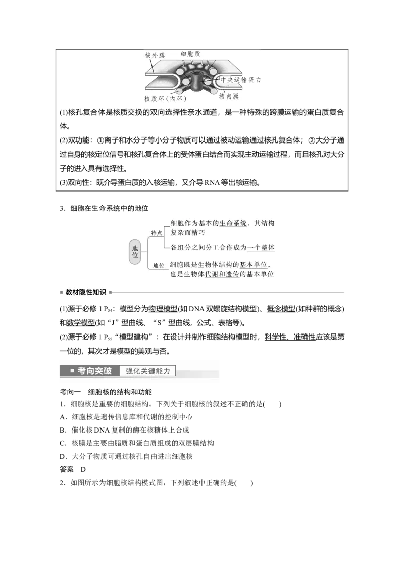 2023年高考生物一轮复习（全国版）第2单元第4课时　细胞核的结构和功能_通用版（老高考）复习资料_2023年复习资料_一轮复习_2023年高考生物一轮复习讲义+课件（全国版）