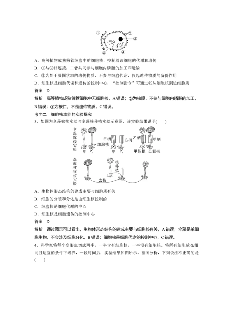 2023年高考生物一轮复习（全国版）第2单元第4课时　细胞核的结构和功能_通用版（老高考）复习资料_2023年复习资料_一轮复习_2023年高考生物一轮复习讲义+课件（全国版）