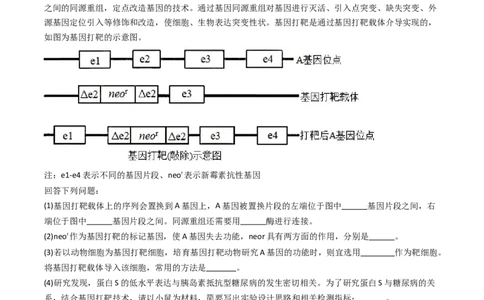 热点04遗传前沿科技（原卷版）_2024年新高考资料_3.2024专项复习_2024年高考生物热点&middot;重点&middot;难点专练（新高考专用）
