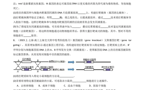 热点04遗传前沿科技（原卷版）_2024年新高考资料_3.2024专项复习_2024年高考生物热点&middot;重点&middot;难点专练（新高考专用）