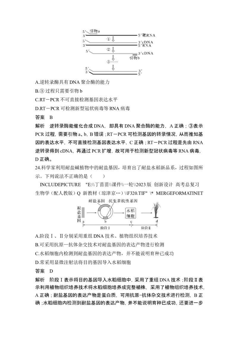 模块检测卷（五）_2024年新高考资料_1.2024一轮复习_2024年高考生物一轮复习讲义（新人教版）_另附1套Word版题库