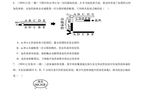 押江苏卷选择题遗传的分子基础、变异和进化（原卷版）_2024年新高考资料_5.2024三轮冲刺_备战2024年高考生物临考题号押题（江苏专用）322855714