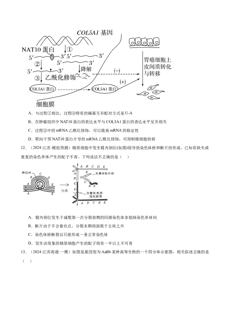 押江苏卷选择题遗传的分子基础、变异和进化（原卷版）_2024年新高考资料_5.2024三轮冲刺_备战2024年高考生物临考题号押题（江苏专用）322855714