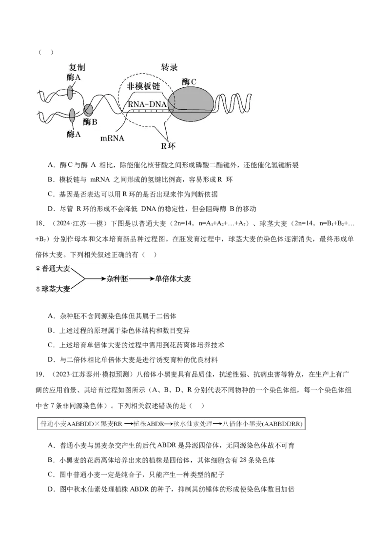 押江苏卷选择题遗传的分子基础、变异和进化（原卷版）_2024年新高考资料_5.2024三轮冲刺_备战2024年高考生物临考题号押题（江苏专用）322855714