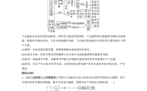 2023年高考生物一轮复习（全国版）第8单元微专题八　动物生命活动调节模型的构建和分析_通用版（老高考）复习资料_2023年复习资料_一轮复习_2023年高考生物一轮复习讲义（全国版）