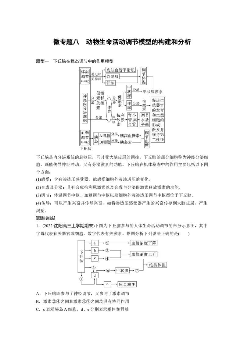2023年高考生物一轮复习（全国版）第8单元微专题八　动物生命活动调节模型的构建和分析_通用版（老高考）复习资料_2023年复习资料_一轮复习_2023年高考生物一轮复习讲义（全国版）