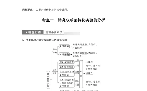 2023年高考生物一轮复习（全国版）第6单元第1课时　DNA是主要的遗传物质_通用版（老高考）复习资料_2023年复习资料_一轮复习_2023年高考生物一轮复习讲义+课件（全国版）
