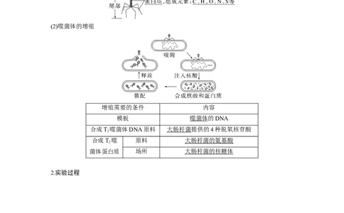 2023年高考生物一轮复习（全国版）第6单元第1课时　DNA是主要的遗传物质_通用版（老高考）复习资料_2023年复习资料_一轮复习_2023年高考生物一轮复习讲义+课件（全国版）