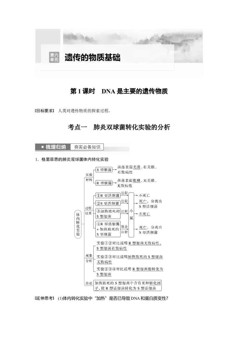 2023年高考生物一轮复习（全国版）第6单元第1课时　DNA是主要的遗传物质_通用版（老高考）复习资料_2023年复习资料_一轮复习_2023年高考生物一轮复习讲义+课件（全国版）
