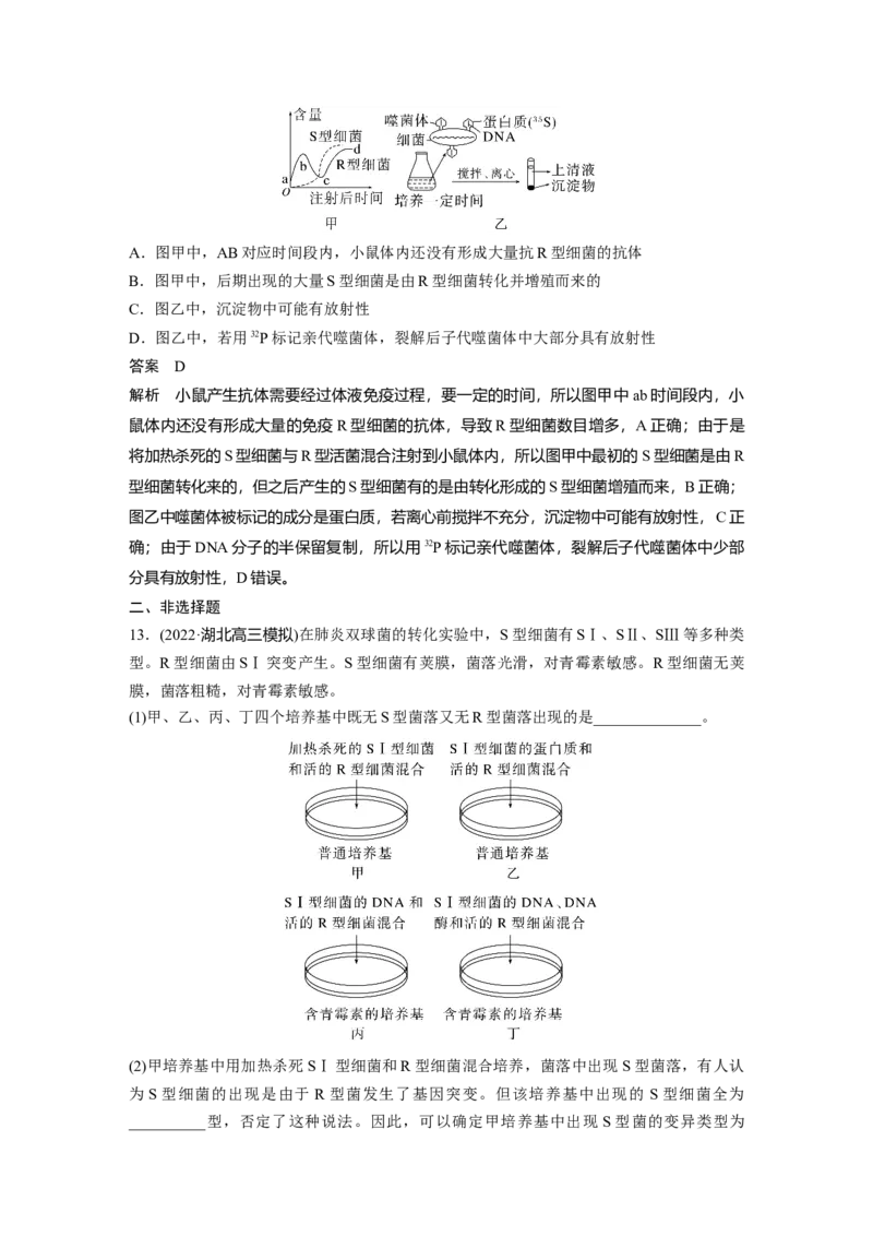 2023年高考生物一轮复习（全国版）第6单元第1课时　DNA是主要的遗传物质_通用版（老高考）复习资料_2023年复习资料_一轮复习_2023年高考生物一轮复习讲义+课件（全国版）