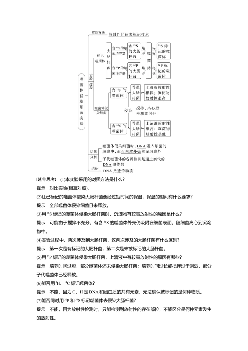 2023年高考生物一轮复习（全国版）第6单元第1课时　DNA是主要的遗传物质_通用版（老高考）复习资料_2023年复习资料_一轮复习_2023年高考生物一轮复习讲义+课件（全国版）