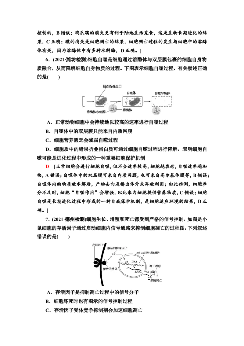 [13326490]备考2023生物课时分层作业13　细胞的分化、衰老和死亡(含解析）_新高考复习资料_2023年新高考复习资料_专项复习_备考2023新高考生物课时分层作业