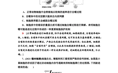 [13326490]备考2023生物课时分层作业13　细胞的分化、衰老和死亡(含解析）_新高考复习资料_2023年新高考复习资料_专项复习_备考2023新高考生物课时分层作业