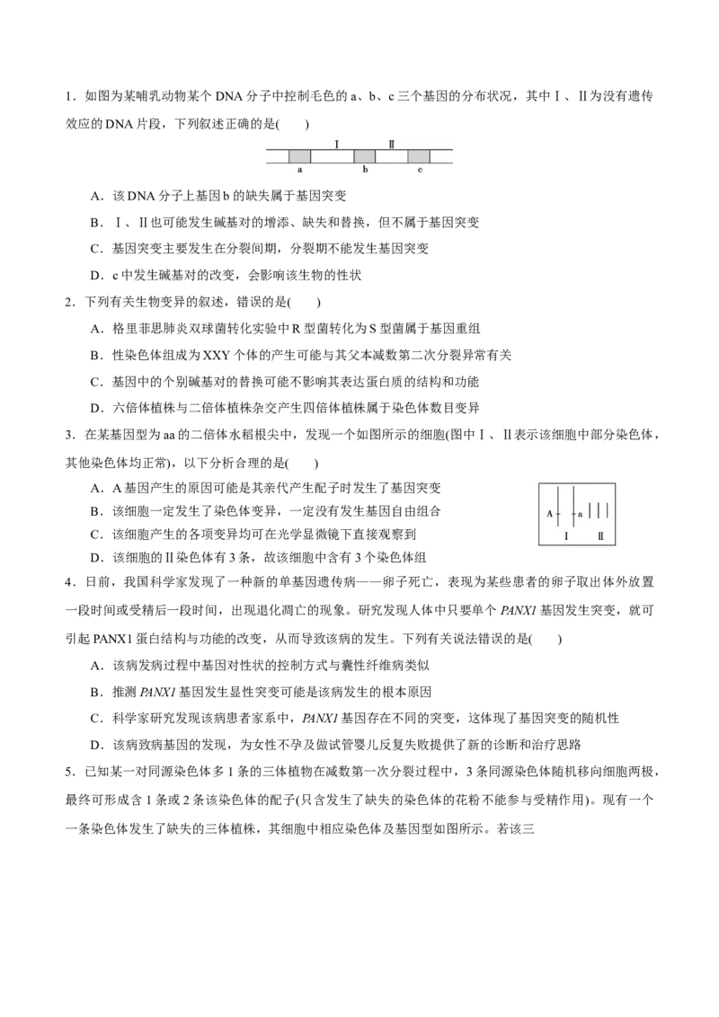 GKSW150_第18讲生物的变异、育种-备战2022年高考生物一轮复习精品讲义（人教版）(原卷版)_新高考复习资料_2022年新高考复习资料_备战2022新高考生物一轮复习精品讲义（人教版）