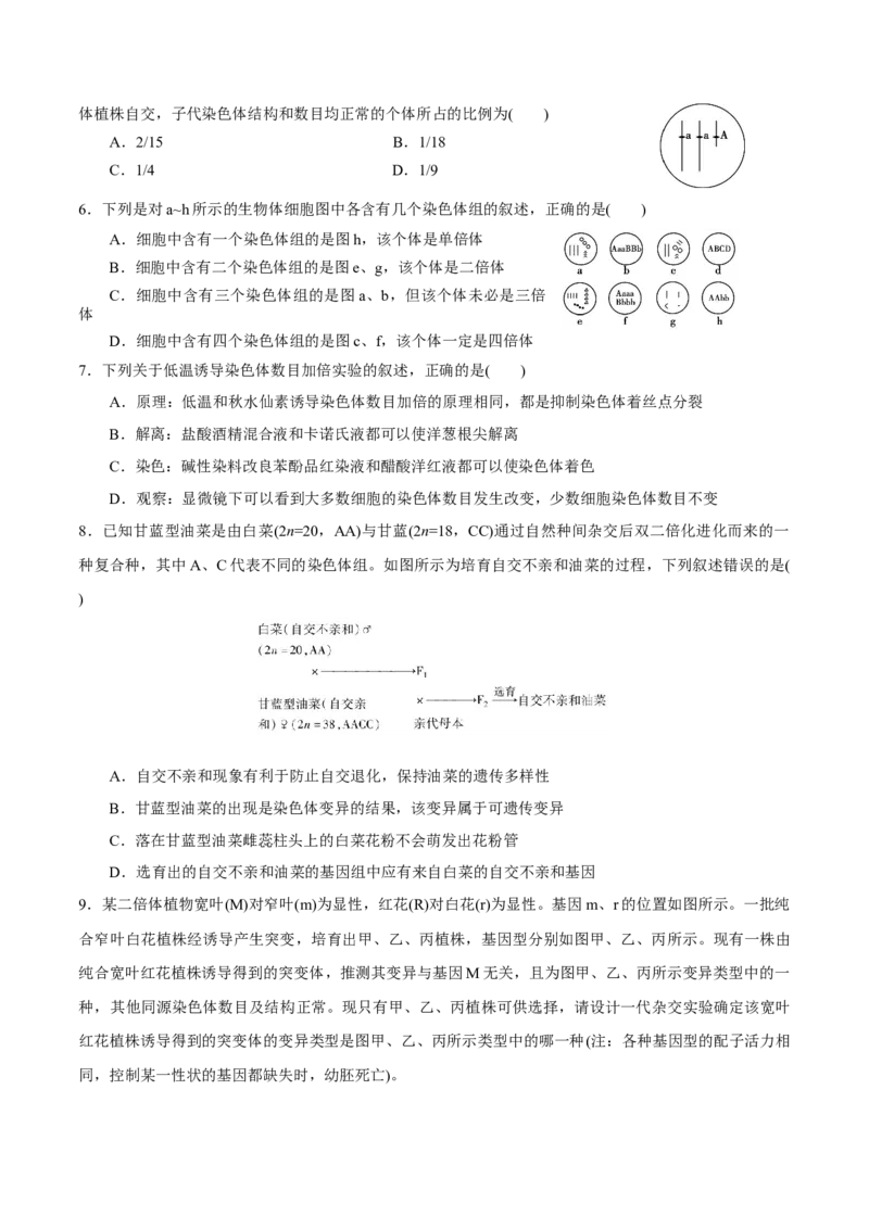 GKSW150_第18讲生物的变异、育种-备战2022年高考生物一轮复习精品讲义（人教版）(原卷版)_新高考复习资料_2022年新高考复习资料_备战2022新高考生物一轮复习精品讲义（人教版）
