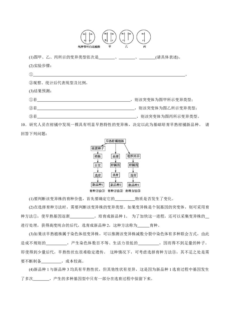 GKSW150_第18讲生物的变异、育种-备战2022年高考生物一轮复习精品讲义（人教版）(原卷版)_新高考复习资料_2022年新高考复习资料_备战2022新高考生物一轮复习精品讲义（人教版）