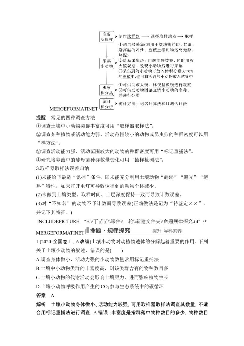 第28讲群落及其演替_2024年新高考资料_1.2024一轮复习_2024年高考生物一轮复习讲义（新人教版）_另附1套Word版题库_选择性必修2_第九单元生物与环境