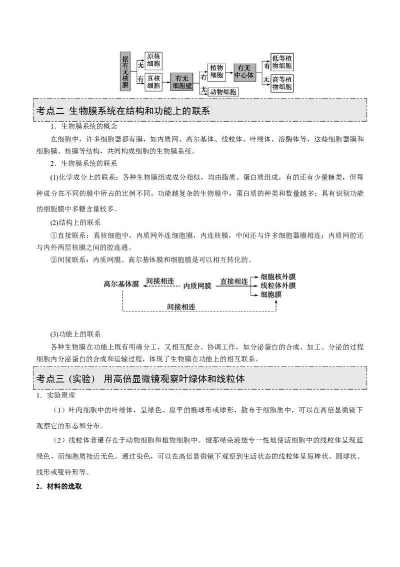 GKSW150_第5讲细胞器及生物膜系统-备战2022年高考生物一轮复习精品讲义（人教版）(解析版)_新高考复习资料_2022年新高考复习资料_备战2022新高考生物一轮复习精品讲义（人教版）