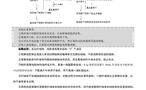 GKSW150_第5讲细胞器及生物膜系统-备战2022年高考生物一轮复习精品讲义（人教版）(解析版)_新高考复习资料_2022年新高考复习资料_备战2022新高考生物一轮复习精品讲义（人教版）