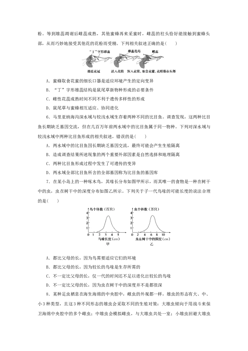 2023版新教材高考生物微专题小练习专练62生物的进化202208091231_通用版（老高考）复习资料_2023年复习资料_一轮复习_2023届高考生物一轮微专题100练