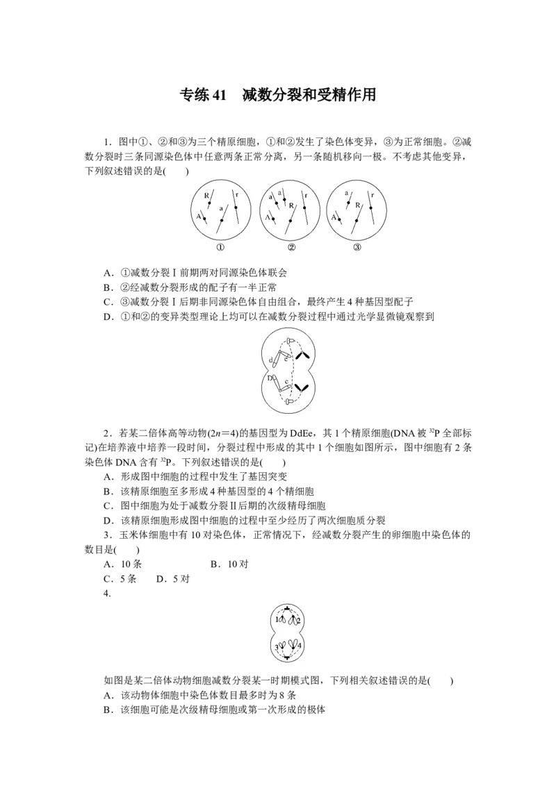 专练41　减数分裂和受精作用_新高考复习资料_2023年新高考复习资料_专项复习_2023《微专题&middot;小练习》&middot;生物&middot;新教材&middot;XL-7