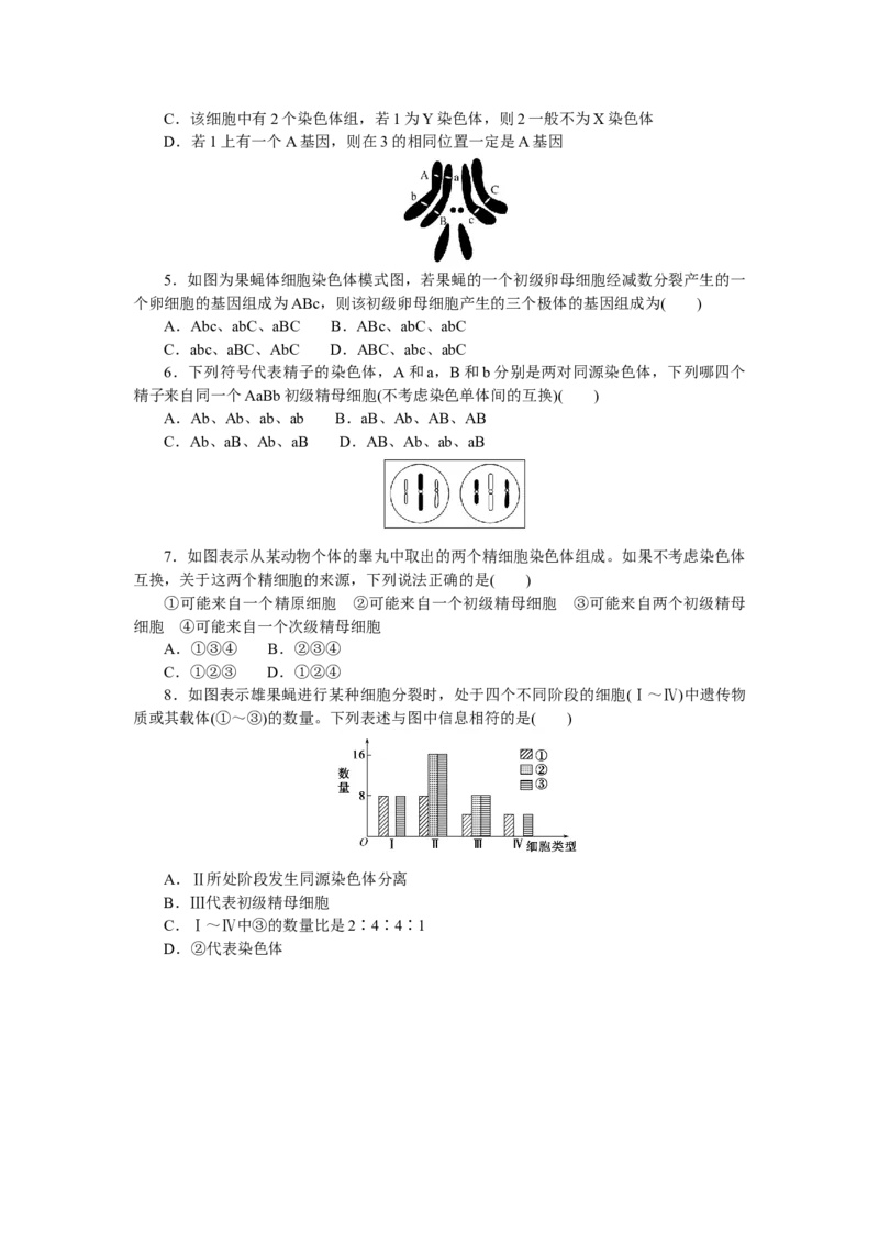 专练41　减数分裂和受精作用_新高考复习资料_2023年新高考复习资料_专项复习_2023《微专题&middot;小练习》&middot;生物&middot;新教材&middot;XL-7