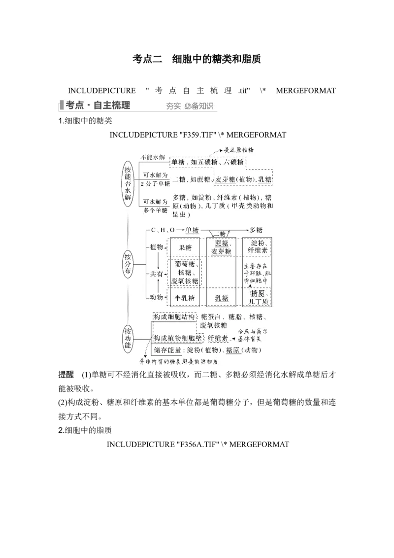 第2讲细胞中的无机物、糖类和脂质_2024年新高考资料_1.2024一轮复习_2024年高考生物一轮复习讲义（新人教版）_另附1套Word版题库_必修1_第一单元组成细胞的分子