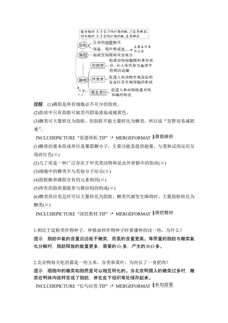 第2讲细胞中的无机物、糖类和脂质_2024年新高考资料_1.2024一轮复习_2024年高考生物一轮复习讲义（新人教版）_另附1套Word版题库_必修1_第一单元组成细胞的分子