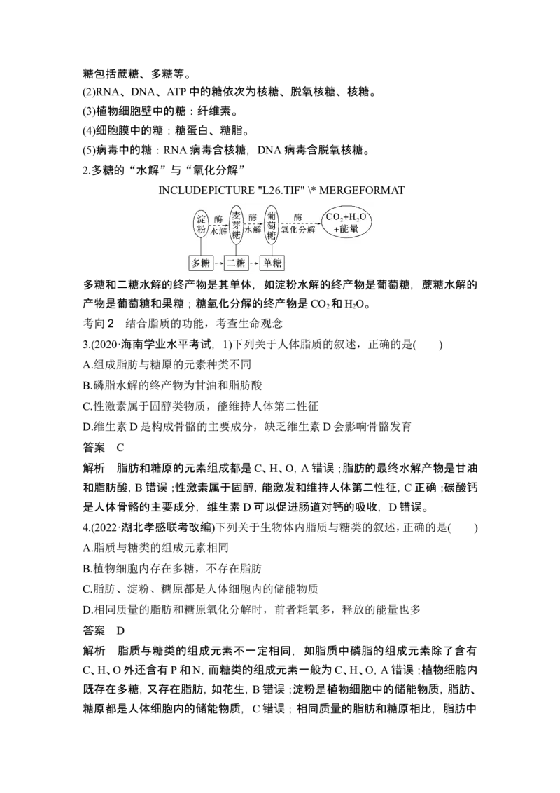 第2讲细胞中的无机物、糖类和脂质_2024年新高考资料_1.2024一轮复习_2024年高考生物一轮复习讲义（新人教版）_另附1套Word版题库_必修1_第一单元组成细胞的分子