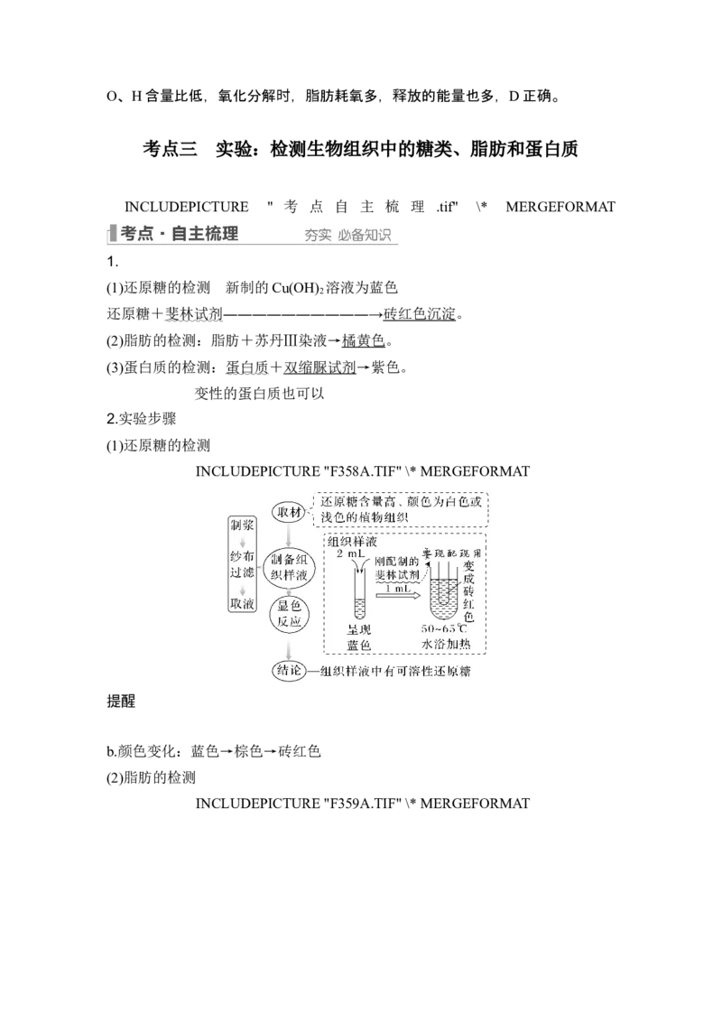 第2讲细胞中的无机物、糖类和脂质_2024年新高考资料_1.2024一轮复习_2024年高考生物一轮复习讲义（新人教版）_另附1套Word版题库_必修1_第一单元组成细胞的分子