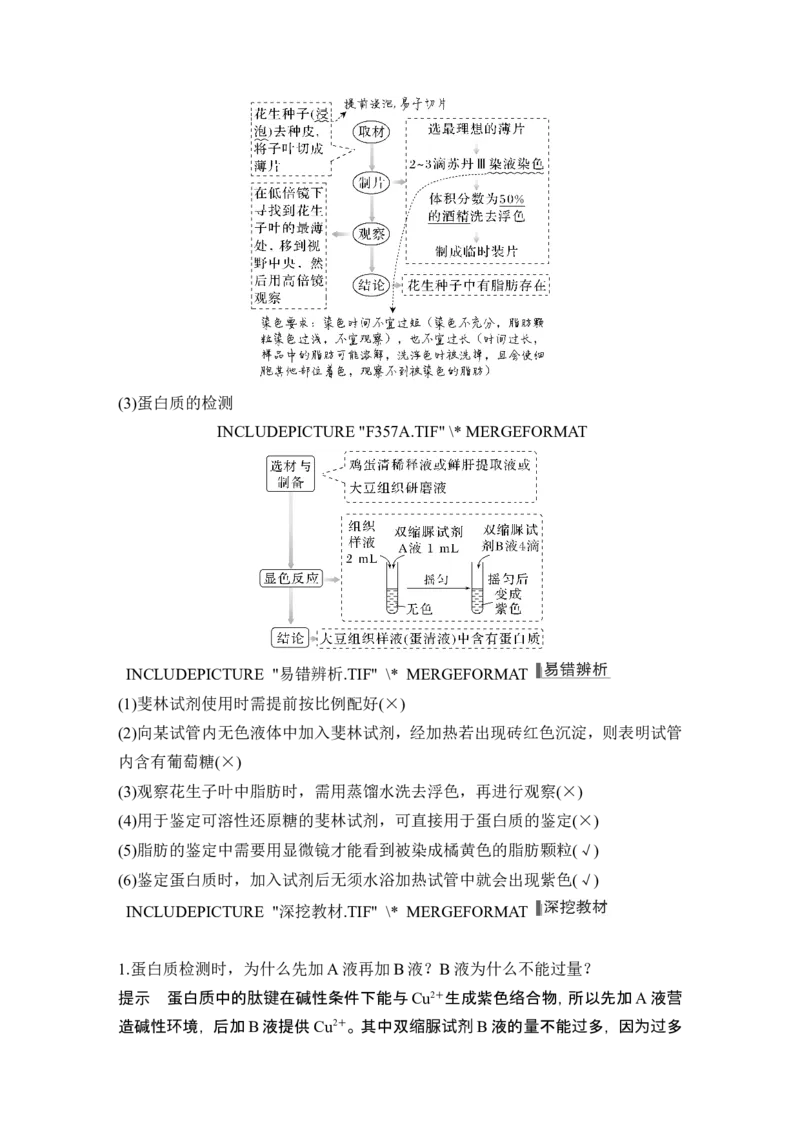 第2讲细胞中的无机物、糖类和脂质_2024年新高考资料_1.2024一轮复习_2024年高考生物一轮复习讲义（新人教版）_另附1套Word版题库_必修1_第一单元组成细胞的分子