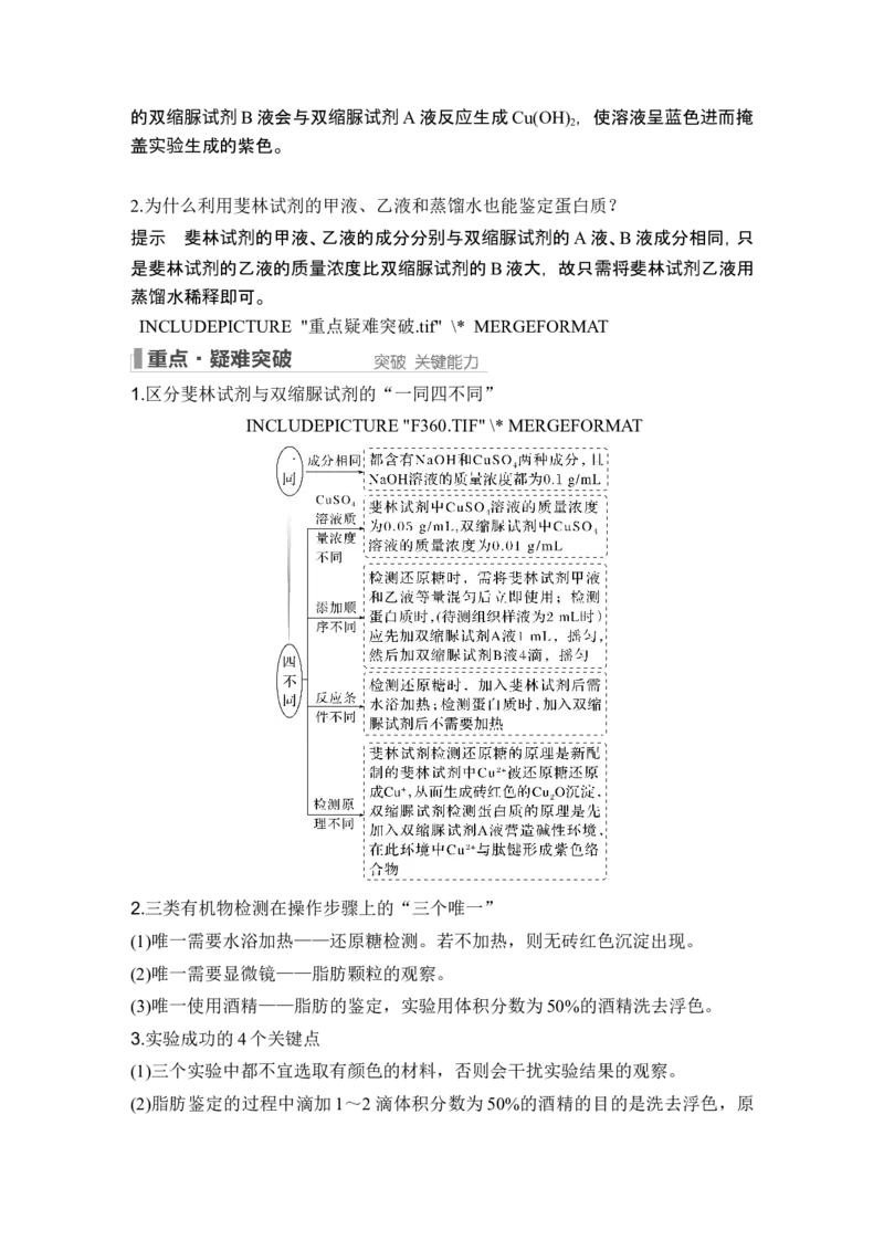 第2讲细胞中的无机物、糖类和脂质_2024年新高考资料_1.2024一轮复习_2024年高考生物一轮复习讲义（新人教版）_另附1套Word版题库_必修1_第一单元组成细胞的分子