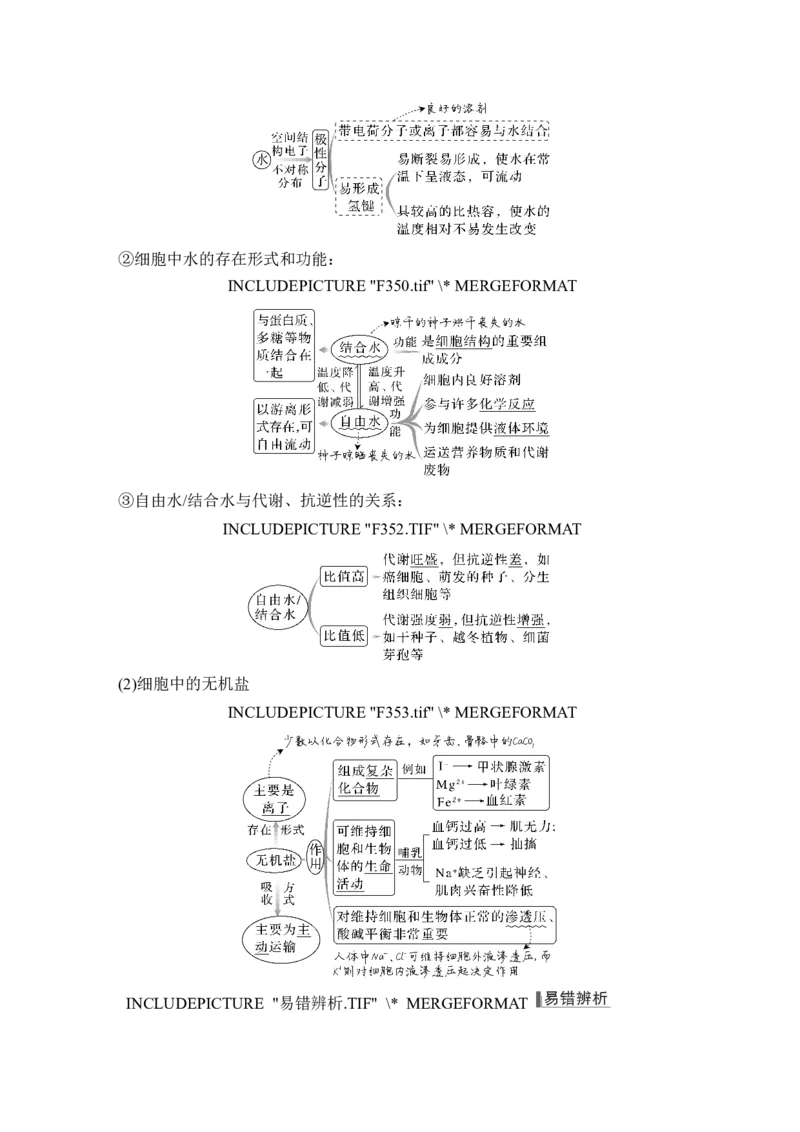 第2讲细胞中的无机物、糖类和脂质_2024年新高考资料_1.2024一轮复习_2024年高考生物一轮复习讲义（新人教版）_另附1套Word版题库_必修1_第一单元组成细胞的分子