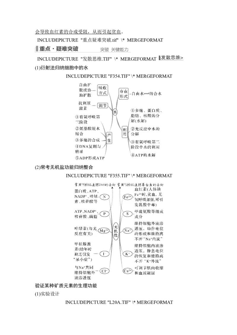 第2讲细胞中的无机物、糖类和脂质_2024年新高考资料_1.2024一轮复习_2024年高考生物一轮复习讲义（新人教版）_另附1套Word版题库_必修1_第一单元组成细胞的分子