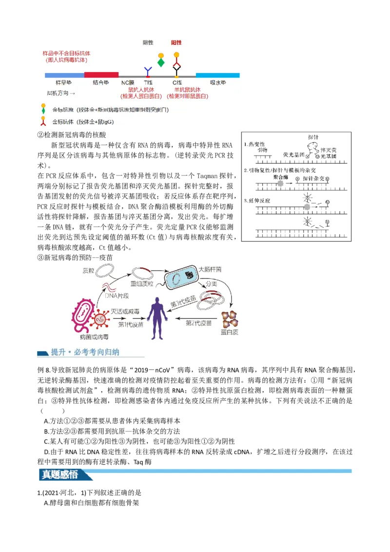 第1讲走近细胞（讲义）（学生版）_2024年新高考资料_1.2024一轮复习_2024年高考生物一轮复习讲练测（新教材新高考）