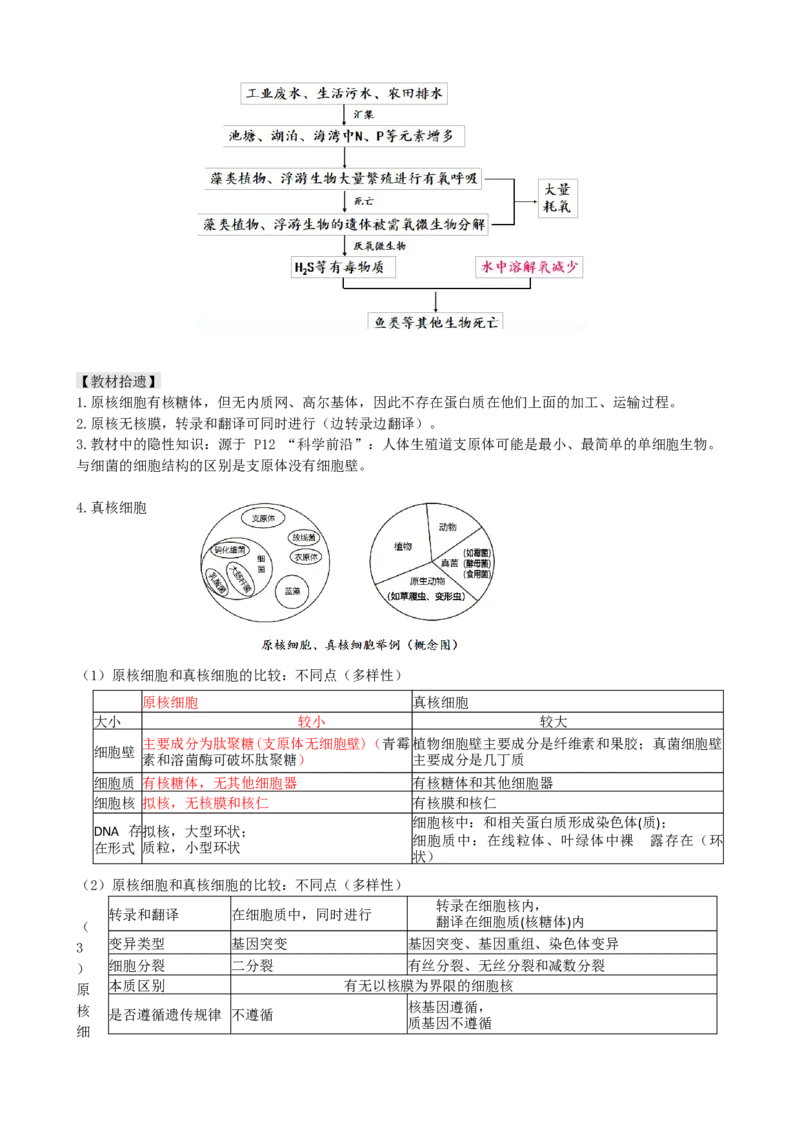 第1讲走近细胞（讲义）（学生版）_2024年新高考资料_1.2024一轮复习_2024年高考生物一轮复习讲练测（新教材新高考）