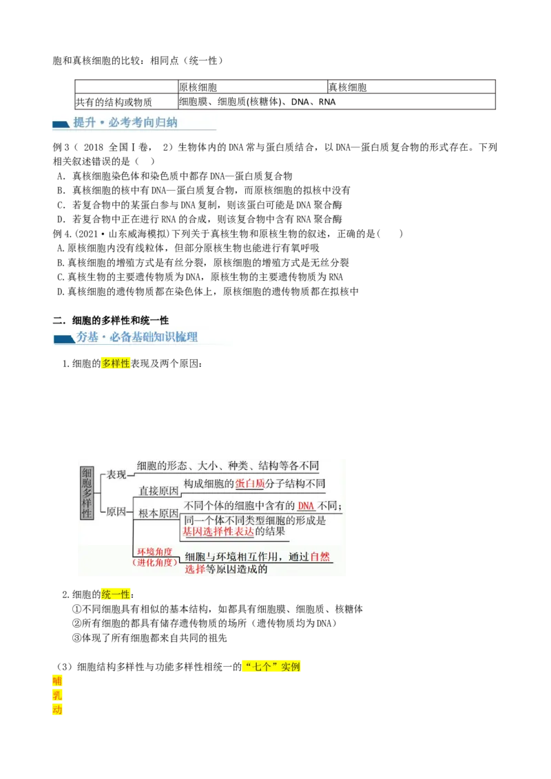 第1讲走近细胞（讲义）（学生版）_2024年新高考资料_1.2024一轮复习_2024年高考生物一轮复习讲练测（新教材新高考）