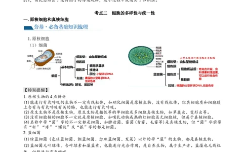 第1讲走近细胞（讲义）（学生版）_2024年新高考资料_1.2024一轮复习_2024年高考生物一轮复习讲练测（新教材新高考）