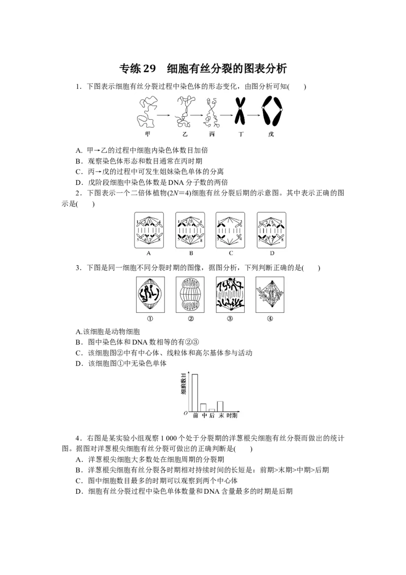 专练29　细胞有丝分裂的图表分析_通用版（老高考）复习资料_2023年复习资料_专项复习_2023《微专题&middot;小练习》&middot;生物