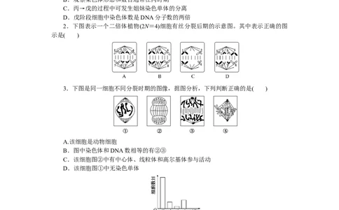 专练29　细胞有丝分裂的图表分析_通用版（老高考）复习资料_2023年复习资料_专项复习_2023《微专题&middot;小练习》&middot;生物