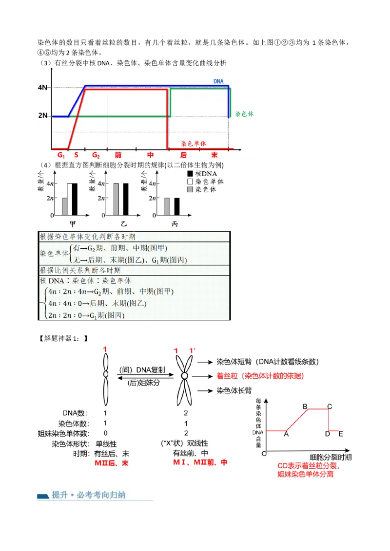 第12讲细胞的增殖（讲义）（教师版）_2024年新高考资料_1.2024一轮复习_2024年高考生物一轮复习讲练测（新教材新高考）