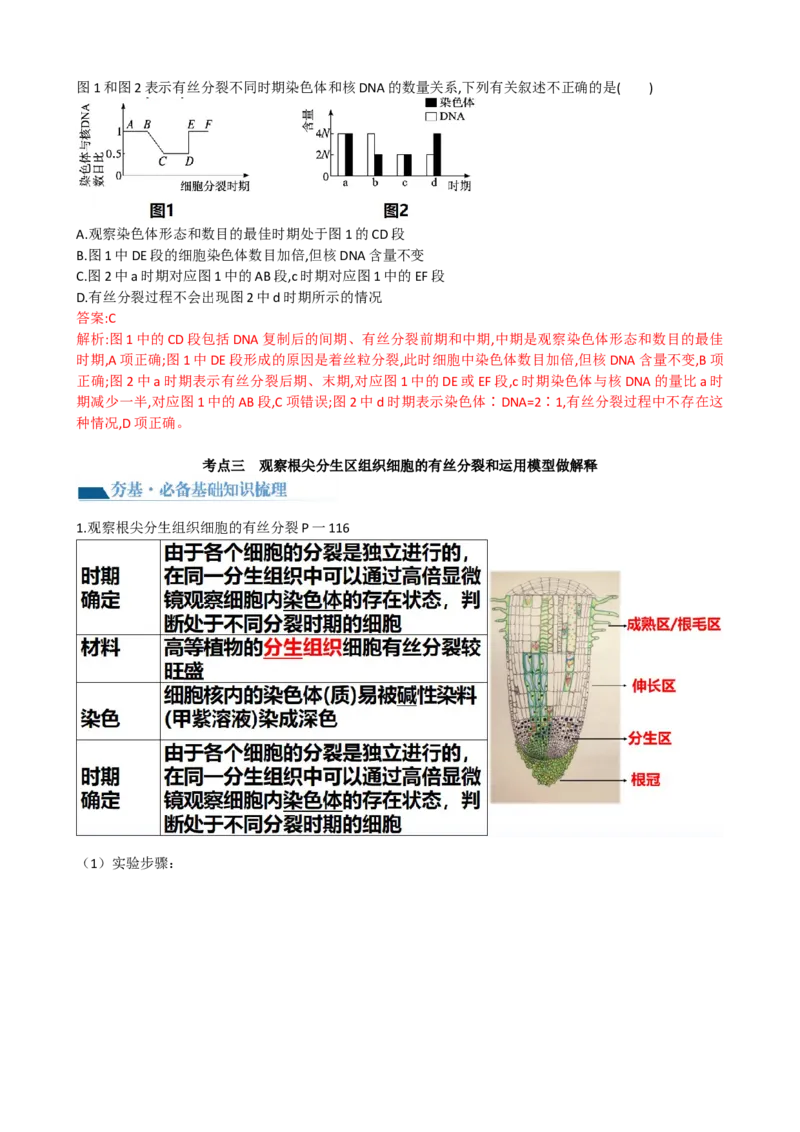 第12讲细胞的增殖（讲义）（教师版）_2024年新高考资料_1.2024一轮复习_2024年高考生物一轮复习讲练测（新教材新高考）