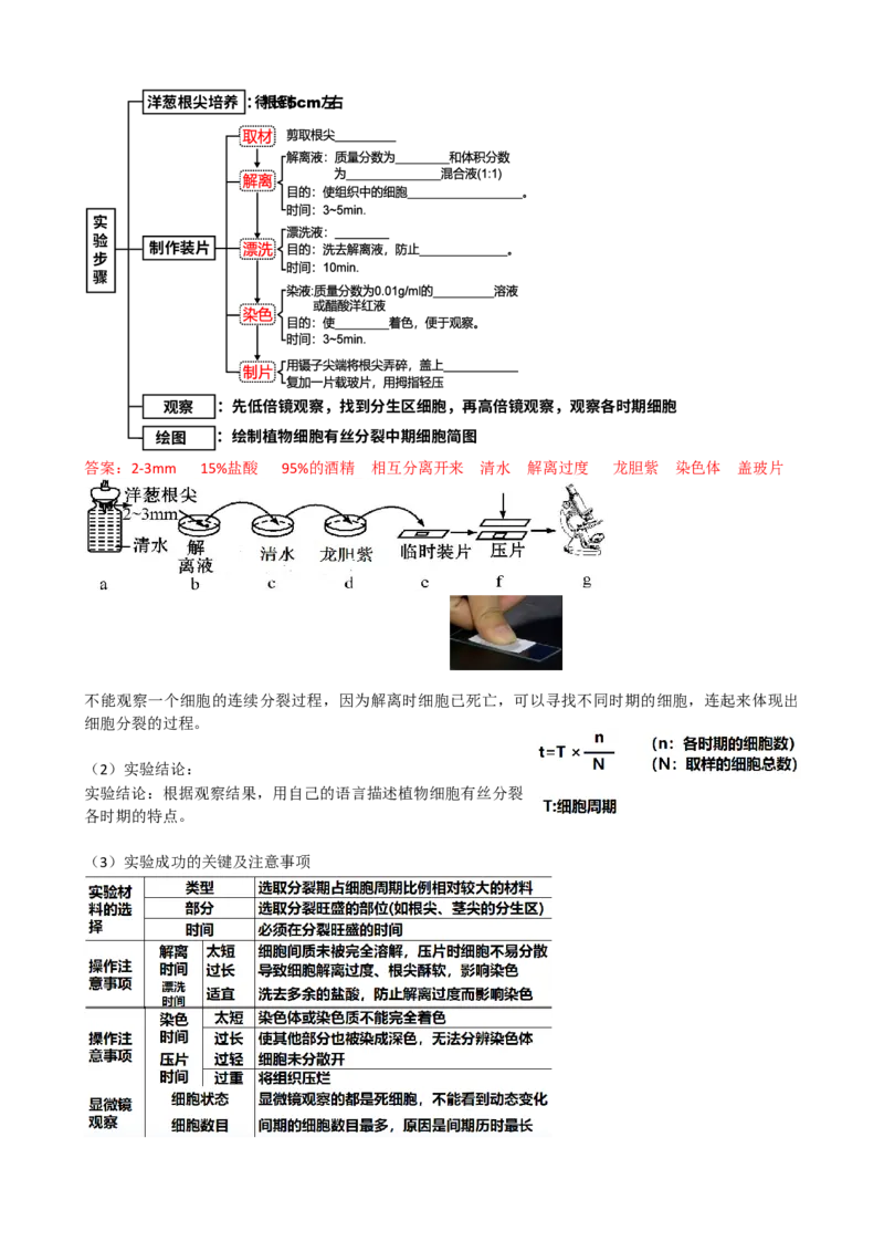 第12讲细胞的增殖（讲义）（教师版）_2024年新高考资料_1.2024一轮复习_2024年高考生物一轮复习讲练测（新教材新高考）