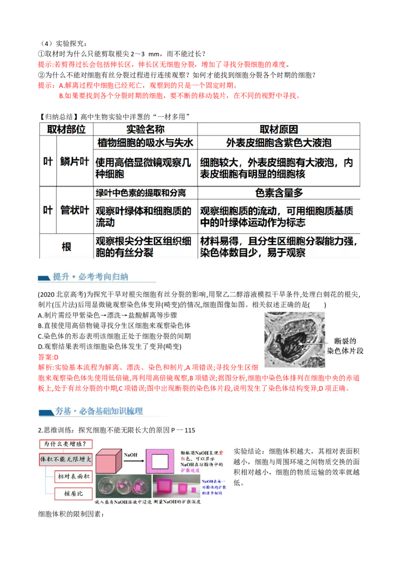 第12讲细胞的增殖（讲义）（教师版）_2024年新高考资料_1.2024一轮复习_2024年高考生物一轮复习讲练测（新教材新高考）