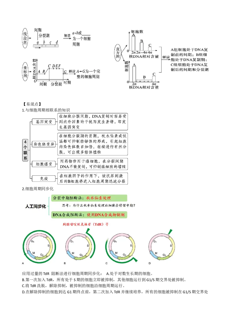 第12讲细胞的增殖（讲义）（教师版）_2024年新高考资料_1.2024一轮复习_2024年高考生物一轮复习讲练测（新教材新高考）