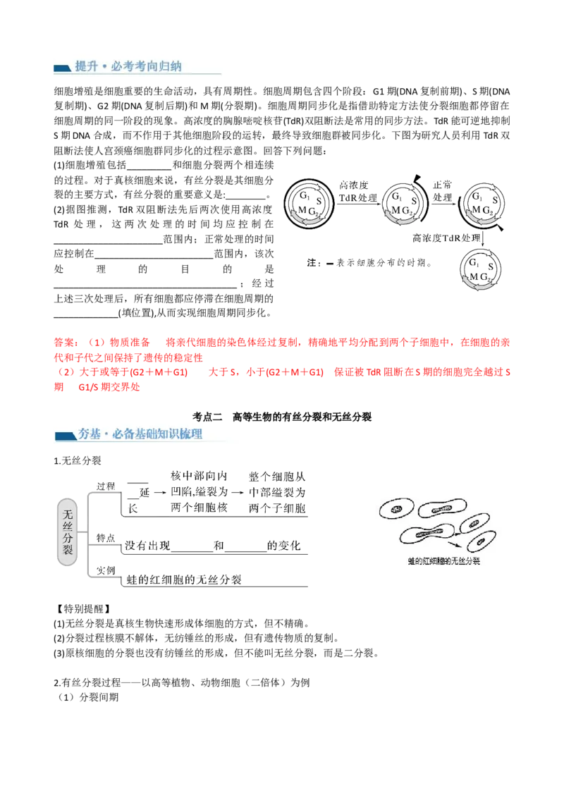第12讲细胞的增殖（讲义）（教师版）_2024年新高考资料_1.2024一轮复习_2024年高考生物一轮复习讲练测（新教材新高考）