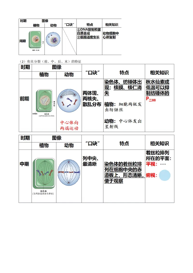 第12讲细胞的增殖（讲义）（教师版）_2024年新高考资料_1.2024一轮复习_2024年高考生物一轮复习讲练测（新教材新高考）