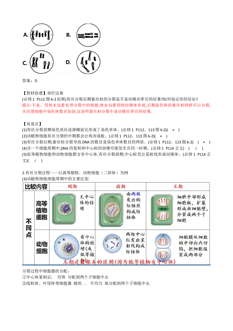 第12讲细胞的增殖（讲义）（教师版）_2024年新高考资料_1.2024一轮复习_2024年高考生物一轮复习讲练测（新教材新高考）