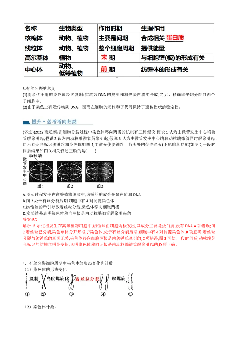 第12讲细胞的增殖（讲义）（教师版）_2024年新高考资料_1.2024一轮复习_2024年高考生物一轮复习讲练测（新教材新高考）
