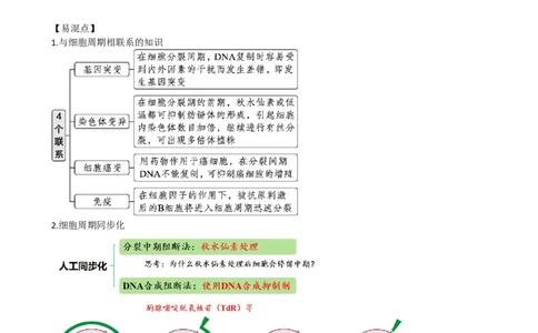 第12讲细胞的增殖（讲义）（教师版）_2024年新高考资料_1.2024一轮复习_2024年高考生物一轮复习讲练测（新教材新高考）